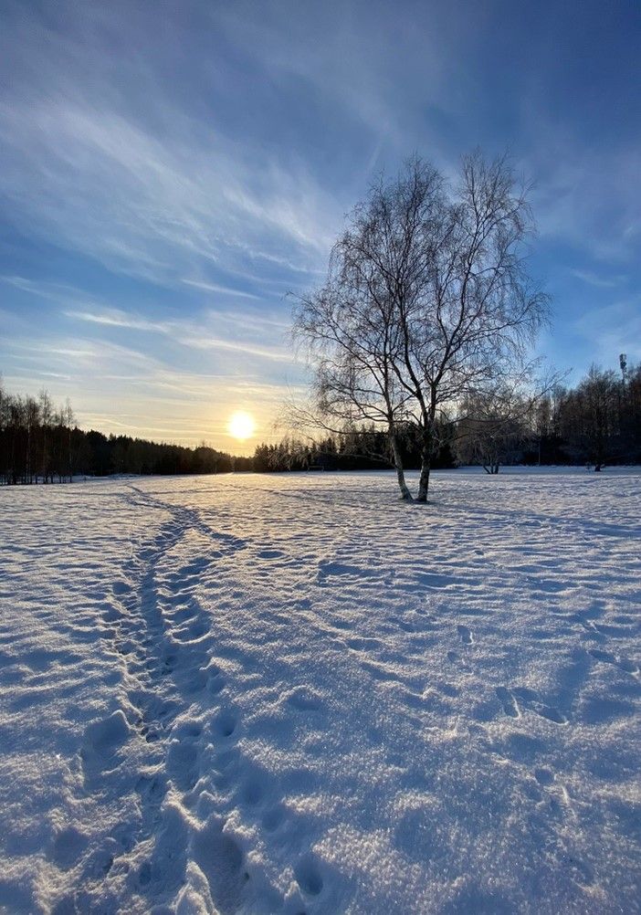 Winter in Finland